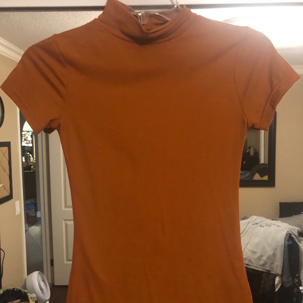 Burnt Orange Body Fit High Neck